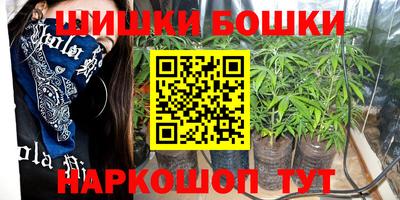 МДПВ Партизанск